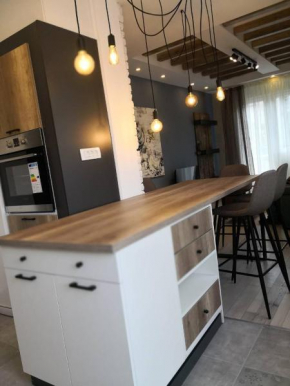 Luxury Apartment Mihajlovic&STRICT-CENTRE